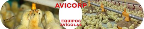 Bebederos Para Aves Gallinas Pollos Y Muchos M S En Agroshow