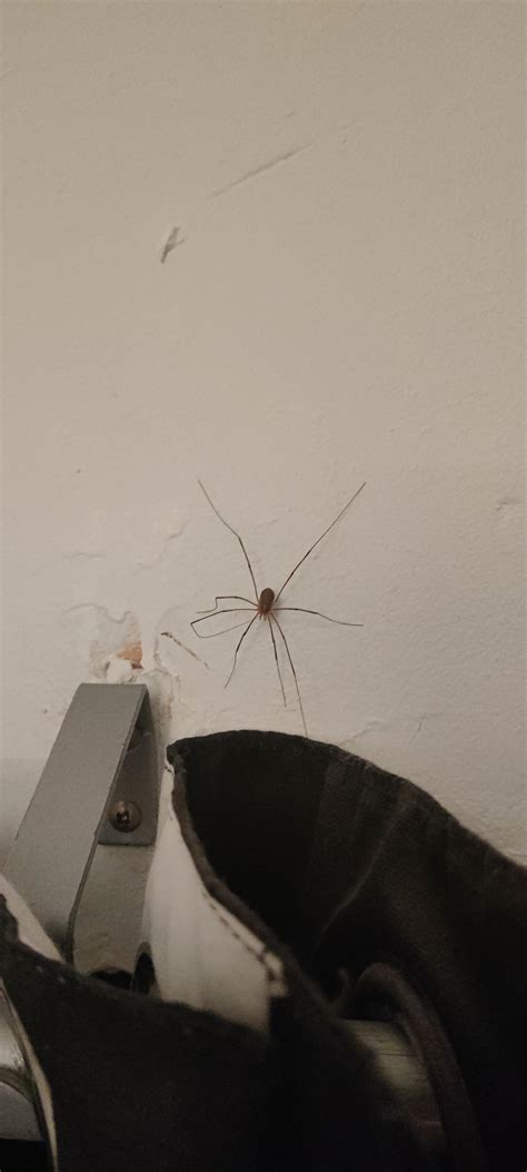 weird looking cars 5