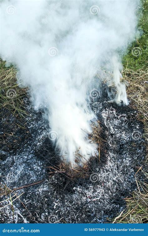 Smoke From Burning Dry Grass Stock Image Image Of Emergency Burn