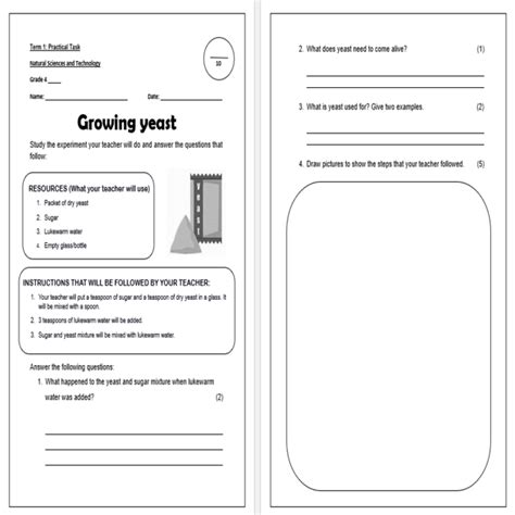 Grade 4 Colour Worksheet Teacha