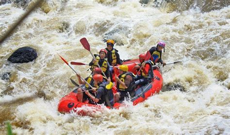 Bosamba Rafting Bondowoso Wisata Arung Jeram Menarik Yang Bisa