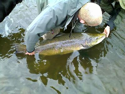 Salmon Fishing Scotland.: Salmon Fishing Scotland River Ness Monster ...