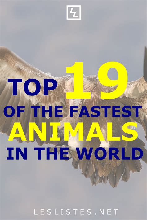 fastest animal in ocean 1