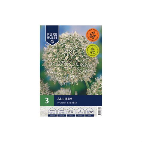 Pure Bulbs Allium Mount Everest Bollen