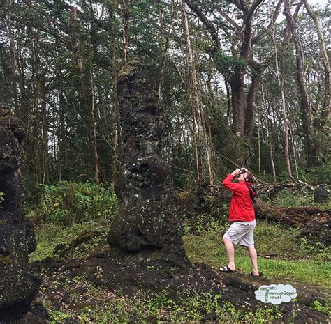 On Hawaii's Big Island, Pahoa and Lava Tree State Park are "hot ...