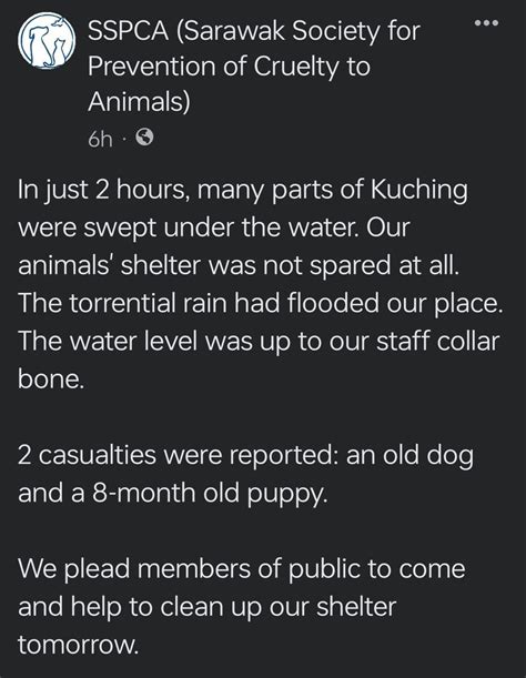 Y Sh On Twitter Rt Thevenusdarling The Sspca In Kuching Posted This