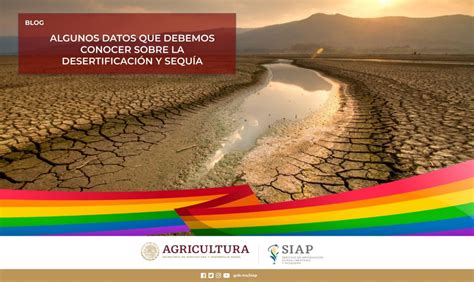 Algunos datos que debemos conocer sobre la desertificación y sequía