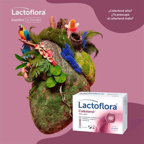 Comprar Lactoflora Colesterol Sabor Vainilla Sobresoferta