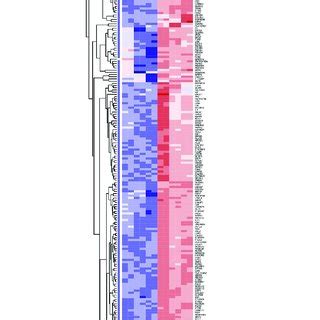 The Heat Map Of The Up Regulated Genes And The Down Regulated Genes