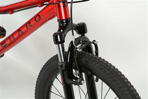 2021 HARO Flightline 20 - Rebound Adventure Cycles LLC