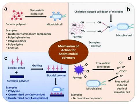 Quantitative Comparison Of The Antimicrobial Efficiency Of Off