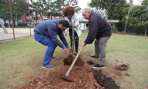 Parque De Santo Andr Recebe Plantio De Mudas No Dia Mundial Do Meio