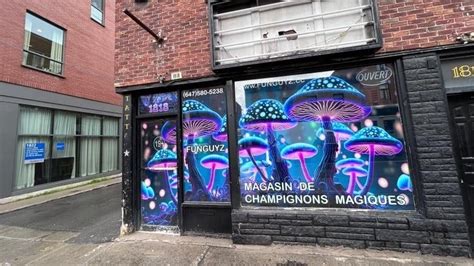 A Store That Sells Magic Mushrooms Is About To Open In Montreal The