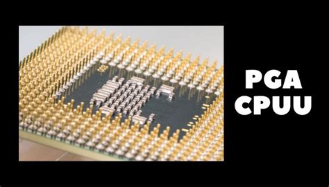 How Many Pins Does A Cpu Have [answered With Explanation]