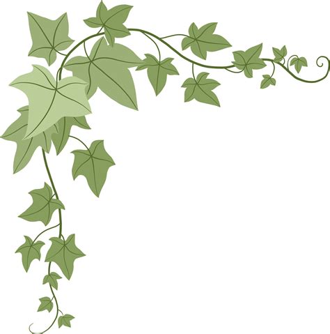 Simplicity Ivy Freehand Drawing 14607042 PNG