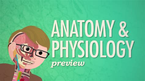 Crash Course Anatomy Physiology Preview Youtube