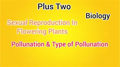 Pollination Type Of Pollination 2 Sexual Reproduction In Flowering Plants Youtube