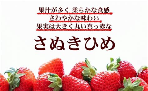 【楽天市場】【ふるさと納税】いちご 先行予約 朝採り さぬきひめ 250g×2パック 250g×4パック 選べる内容量 丸亀産 フルーツ