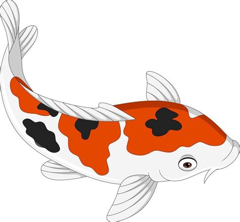 Cartoon cute koi fish on white background