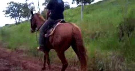 Blogmeiahoranoticias Homem Leva Tiro Enquanto Andava A Cavalo Em