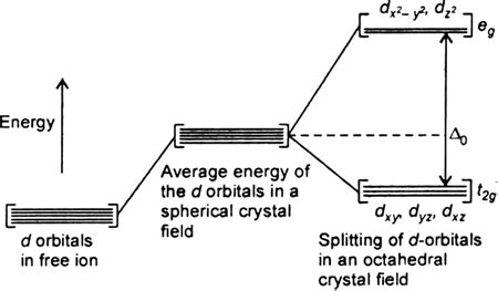 Draw The Octahedral Crystal Field Splitting Diagram For Each Metal Ion ...