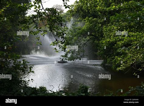 Lake. Zoological Garden, Alipore, Kolkata, West Bengal, India Stock ...