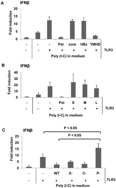 Hbv Pol Inhibits Dsrna Induced Ifn B Promoter Activation A Hepg2 Download Scientific Diagram