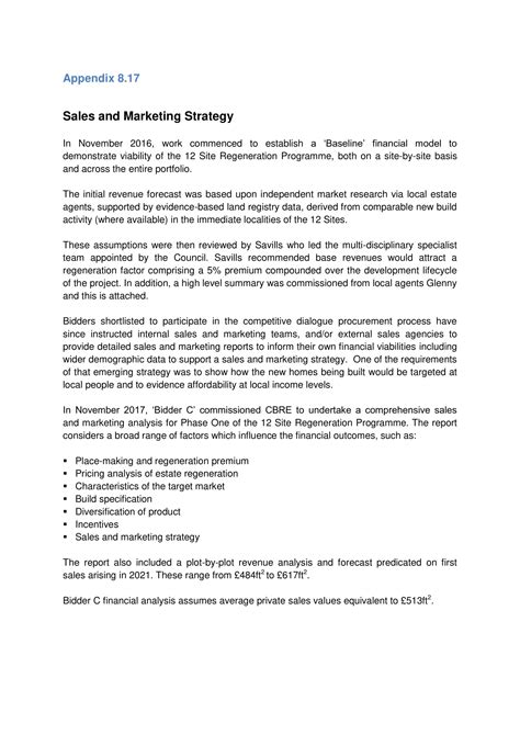 Marketing Strategy Plan Template Pdf - PDF Template
