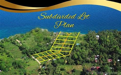 Beach Lot For Sale Camotes Island Cebu