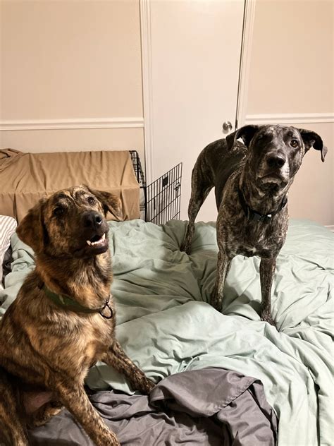 Hidden Gems: Meet Morgan O'Donnell of Walk Around Town ATX - Voyage Austin