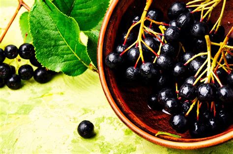 Чем полезна черноплодная рябина и как правильно ее есть | SimpleSlim