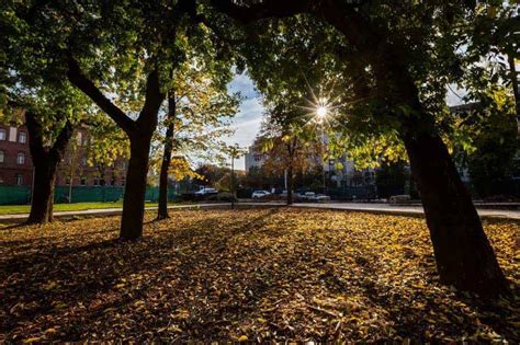 Video Cum Arat Parcul Tefan Cel Mare Din Spatele Teatrului Na Ional