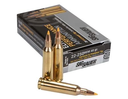 Find Your Perfect Shot with the Best 22-250 Remington Ammo in [y] - Top ...