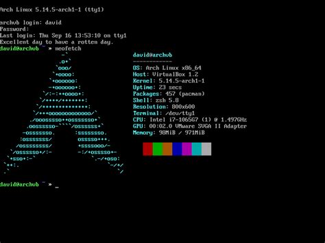 Puede Ejecutar Linux Sin Un Entorno De Escritorio