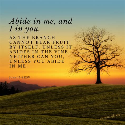 true focus   abide   lord coming  light