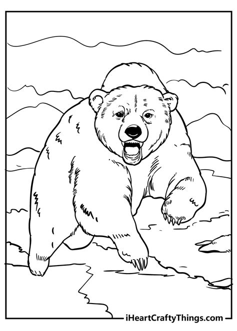 Realistic Bear Coloring Pages