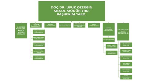 Organizasyon Şeması Özel Konya Farabi Hastanesi