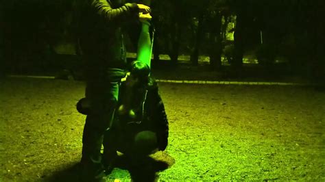 MILF Whore Gives A Blowjob On A Leash In A Public Place Amateur Amateur Porn XHamster