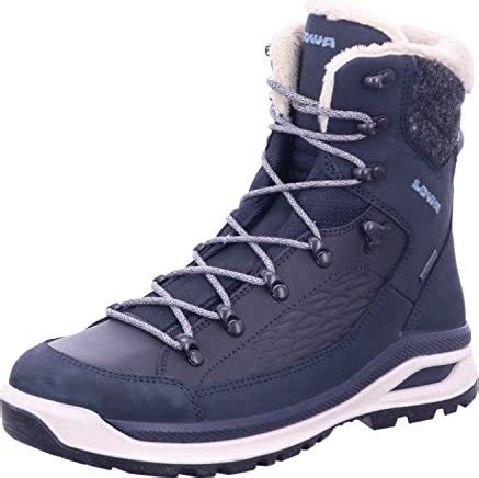 Lowa Renegade Evo Ice GTX Damen Ab 159 94 2024 Preisvergleich