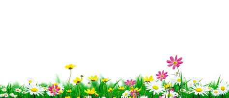 Natural Flower Background Images Hd Nature Flowers Wallpaper