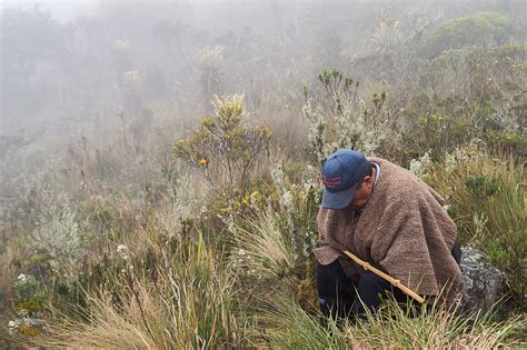 Galería Laguna de Iguaque la cuna de los dioses en Colombia