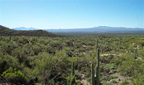 Tucson in March: Desert Museum