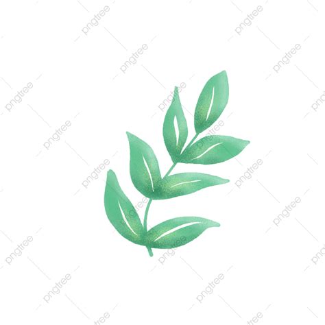 beautiful leaf png image beautiful green leaf leaf green beautiful