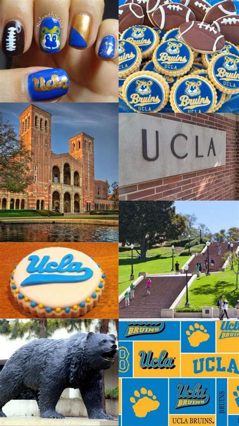 Ucla university, Ucla, Ucla college