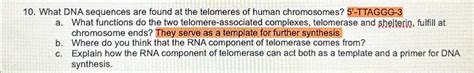 Solved What DNA sequences are found at the telomeres of | Chegg.com