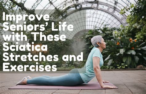 Improve Seniors Life With These Sciatica Stretches And Exercises Bridge Home Health And Hospice