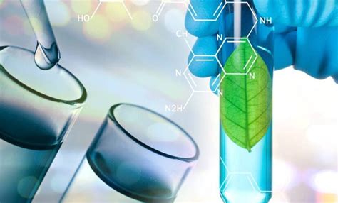 Química verde hacia productos más sostenibles