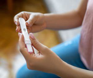 Der Ovulationstest Ist Positiv Wann Ist Der Beste Zeitpunkt F R Sex