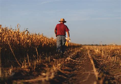 Governo libera R 693 milhões para o Programa de Seguro Rural neste ano