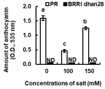 Salt Stress Induced Changes Of Anthocyanin Content In Leaves Of Purple